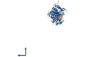 Protein Structure (PS) image for Phospholipase D Family, Member 5 (PLD5) (AA 1-536) protein (His tag) (ABIN7557245)