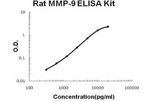 Rat MMP-9 PicoKine ELISA Kit standard curve