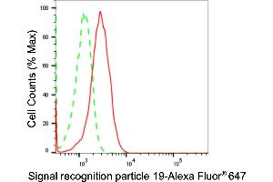 Flow cytometric analysis of Signal recognition particle 19 expression in HepG2 cells using Signal recognition particle 19 antibody (ABIN7800331), 1:2,000). (Recombinant SRP19 抗体)