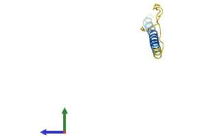 Protein Structure (PS) image for Adipogenin (ADIG) (AA 1-80) protein (Fc Tag) (ABIN7559752)