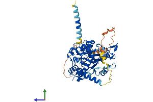 Protein Structure (PS) image for Carbohydrate (Chondroitin 4) Sulfotransferase 12 (CHST12) (AA 1-419) protein (His tag) (ABIN7560377)