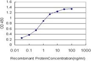 Detection limit for recombinant GST tagged COP1 is approximately 0. (CARD16 抗体  (AA 1-97))