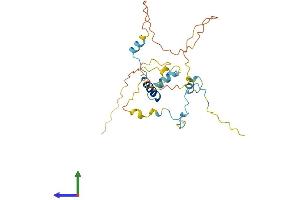 AlphaFold protein structure predicition of Human Recombinant MYOZ3 Protein, UniprotID Q8TDC0