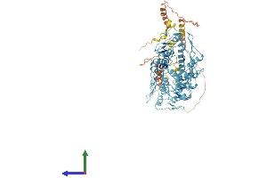 Protein Structure (PS) image for Zinc Finger Protein 224 (ZNF224) (AA 1-707) protein (His tag) (ABIN7556097)