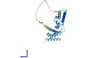 Protein Structure (PS) image for Transcription Elongation Factor A2 (TCEA2) (AA 1-299) protein (His tag) (ABIN7544300)