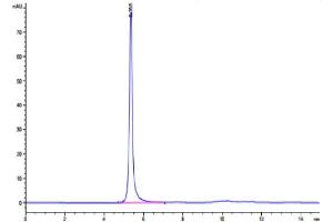 The purity of Human LIF R is greater than 95 % as determined by SEC-HPLC. (LIFR Protein (AA 45-833) (Fc Tag))