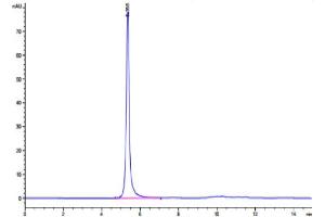 The purity of Human LIF R is greater than 95 % as determined by SEC-HPLC. (LIFR Protein (Fc Tag))
