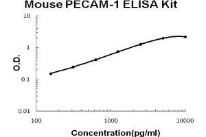 Mouse PECAM-1/CD31 PicoKine ELISA Kit standard curve (CD31 ELISA 试剂盒)