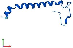 AlphaFold protein structure predicition of Mouse Recombinant Ndufb1 Protein, UniprotID P0DN34