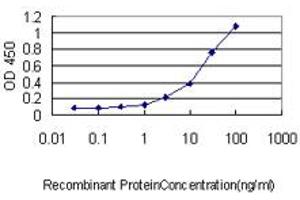 Detection limit for recombinant GST tagged UBL3 is approximately 1ng/ml as a capture antibody. (UBL3 抗体  (AA 1-117))