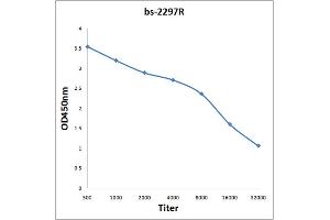 Antigen: 0. (EV71 VP1 抗体)