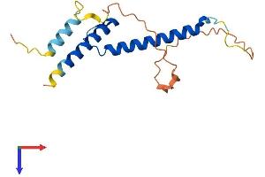 FERD3L Protein (AA 1-166) (His tag)