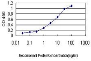 ELISA image for anti-Protoporphyrinogen Oxidase (PPOX) (AA 378-478) antibody (ABIN598883) (PPOX 抗体  (AA 378-478))
