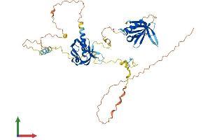AlphaFold protein structure predicition of Human Recombinant DOK1 Protein, UniprotID Q99704