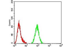 Flow cytometric analysis of Hela cells using TET2 mouse mAb (green) and negative control (red). (TET2 抗体)
