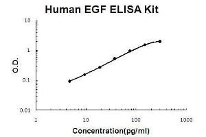 Human EGF PicoKine ELISA Kit standard curve
