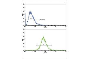 Flow Cytometry (FACS) image for anti-Amine Oxidase, Copper Containing 3 (Vascular Adhesion Protein 1) (AOC3) antibody (ABIN3003794) (AOC3 抗体)