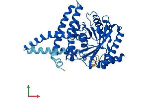 Protein Structure (PS) image for 1-Acylglycerol-3-Phosphate O-Acyltransferase 4 (AGPAT4) (AA 1-378) protein (His tag) (ABIN7559586)