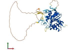 Protein Structure (PS) image for Methyltransferase Like 18 (METTL18) (AA 1-372) protein (His tag) (ABIN7549366)
