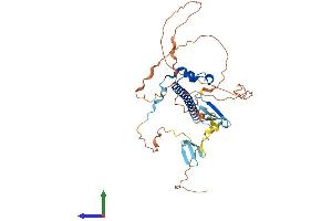 Protein Structure (PS) image for Salvador Homolog 1 (SAV1) (AA 1-383) protein (His tag) (ABIN7555334)