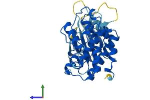 Protein Structure (PS) image for Cyclin-Dependent Kinase 5 (CDK5) (AA 1-292) protein (His tag) (ABIN7553063)