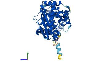 Protein Structure (PS) image for 1-Acylglycerol-3-Phosphate O-Acyltransferase 5 (Lysophosphatidic Acid Acyltransferase, Epsilon) (AGPAT5) (AA 1-365) protein (His tag) (ABIN7560881)