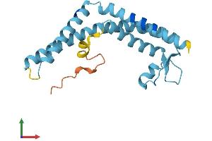 AlphaFold protein structure predicition of Mouse Recombinant Tmco1 Protein, UniprotID Q921L3