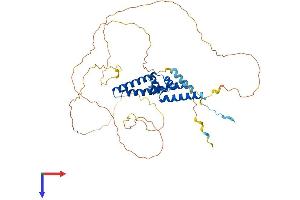 SRFBP1 Protein (AA 1-441) (His tag)