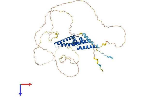 SRFBP1 Protein (AA 1-441) (His tag)