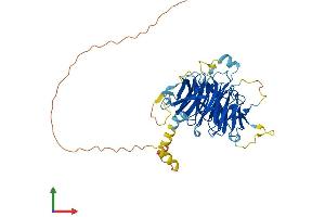 AlphaFold protein structure predicition of Mouse Recombinant Dcaf12l2 Protein, UniprotID Q8BGW4