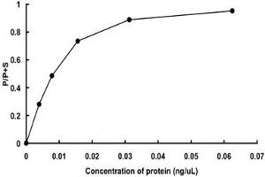 CAMK2D Protein (AA 1-478) (GST tag)