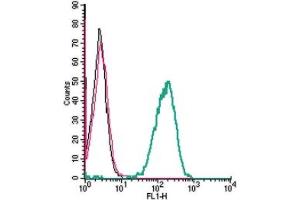 Cell surface detection of P2Y13 by indirect flow cytometry in live intact human  monocytic leukemia cell line: + goat-anti-rabbit-FITC.
