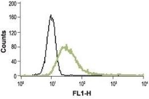 Flow Cytometry (FACS) image for anti-Transient Receptor Potential Cation Channel, Subfamily V, Member 2 (TRPV2) (AA 413-428), (Extracellular) antibody (FITC) (ABIN7043844)