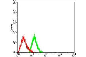 Flow cytometric analysis of HL-60 cells using CD232 mouse mAb (green) and negative control (red). (Plexin C1 抗体  (AA 35-234))