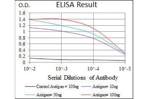 ELISA image for anti-Keratin 5 (KRT5) antibody (ABIN1845565) (Cytokeratin 5 抗体)