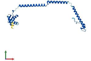 Protein Structure (PS) image for PSMC3 Interacting Protein (PSMC3IP) (AA 1-217) protein (His tag) (ABIN7562258)