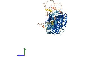 Protein Structure (PS) image for Solute Carrier Family 12 (Potassium-Chloride Transporter) Member 4 (SLC12A4) (AA 1-1085) protein (His tag) (ABIN7555396)