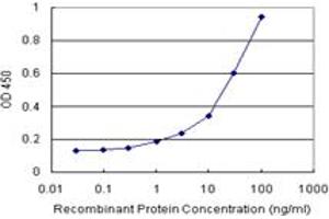 Sandwich ELISA detection sensitivity ranging from 3 ng/mL to 100 ng/mL. (ATF4 (人) Matched Antibody Pair)