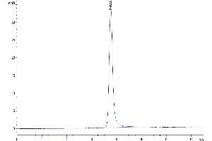 Size-exclusion chromatography-High Pressure Liquid Chromatography (SEC-HPLC) image for Secreted phosphoprotein 1 (SPP1) (AA 17-300) protein (His tag) (ABIN7275647)