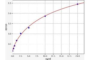 alpha 2 Antiplasmin ELISA 试剂盒