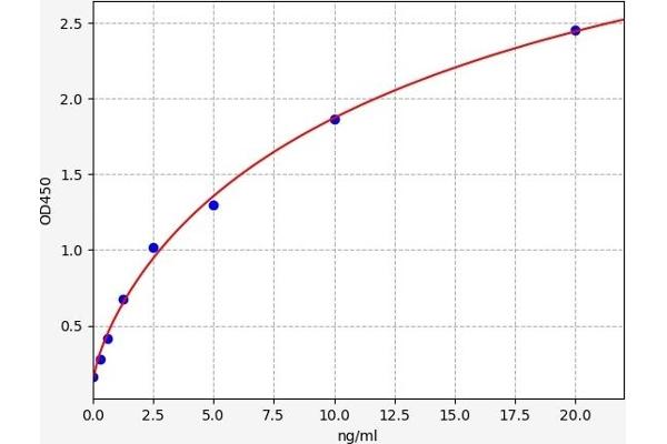 alpha 2 Antiplasmin ELISA 试剂盒