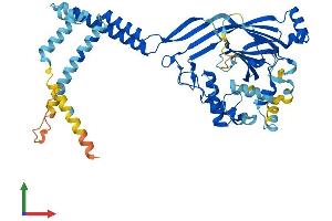 AlphaFold protein structure predicition of Human Recombinant ASIC5 Protein, UniprotID Q9NY37