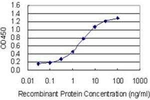 Detection limit for recombinant GST tagged ITSN1 is 0. (ITSN1 抗体  (AA 588-675))