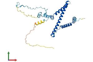AlphaFold protein structure predicition of Human Recombinant RRP36 Protein, UniprotID Q96EU6