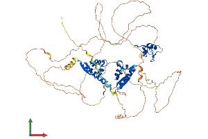 Protein Structure (PS) image for Mex-3 Homolog C (C. Elegans) (MEX3C) (AA 1-652) protein (His tag) (ABIN7556899)