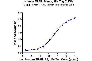 Immobilized TRAIL Trimer, His Tag at 2 μg/mL (100 μL/well) on the plate. (TRAIL Protein (Trimer) (His-DYKDDDDK Tag))