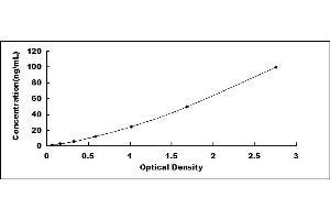 Typical standard curve (Myelin-Associated Glycoprotein Antibody (MAG Ab) ELISA 试剂盒)