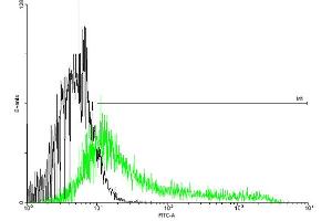 FACS analysis of negative control 293 cells (Black) and IL6R expressing 293 cells (Green) using IL6R purified MaxPab mouse polyclonal antibody. (IL-6 Receptor 抗体  (AA 1-468))