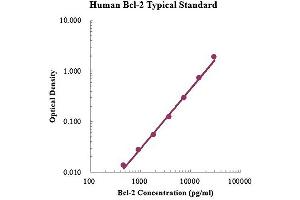 ELISA image for B-Cell CLL/lymphoma 2 (BCL2) ELISA Kit (ABIN4993797)