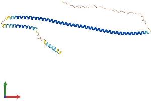 Protein Structure (PS) image for ZW10 Interactor (ZWINT) (AA 1-277) protein (His tag) (ABIN7545511)